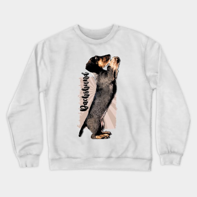 Wirehaired  Dachshund puppy Crewneck Sweatshirt by Nartissima